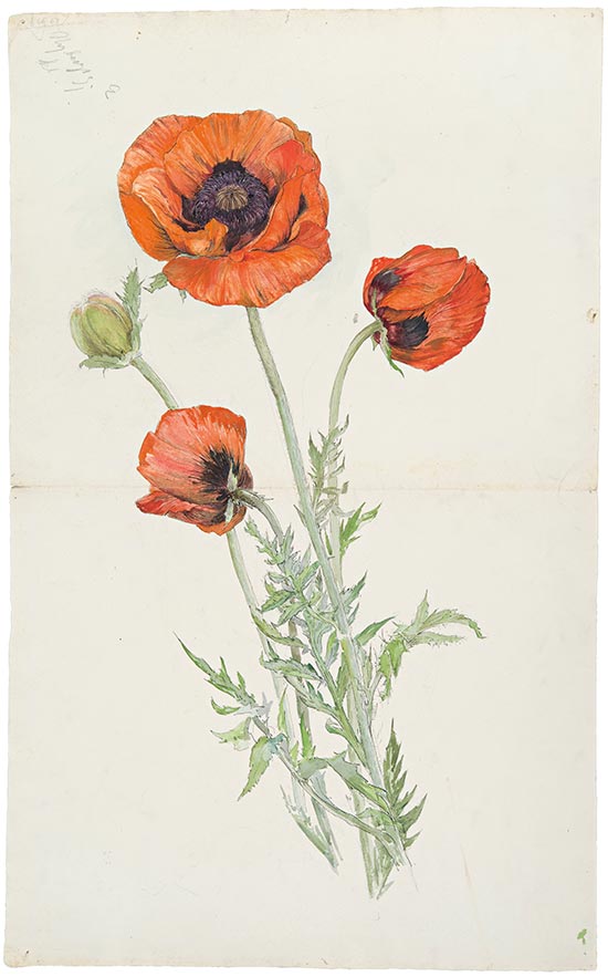 Hilma af Klint: No title, 1890s Watercolour, ink and graphite on paper,