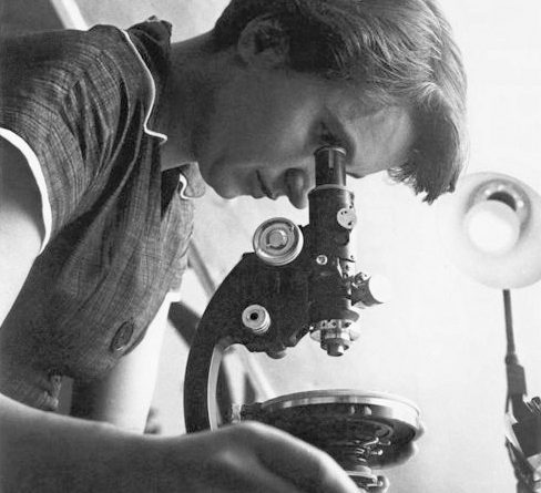 Rosalind Franklin 1955