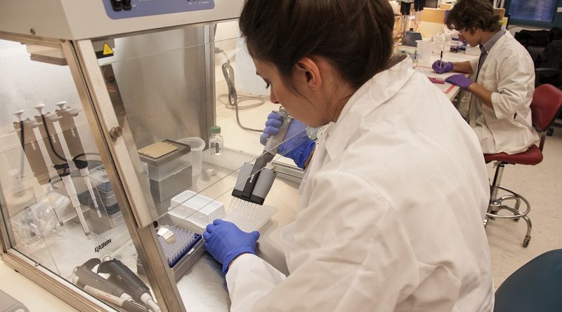 Stammzellforschung im Labor des National Institutes of Health campus in Bethesda, 2014